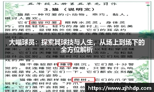 E世博esball官方网站